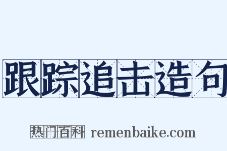 跟踪追击造句是什么意思的图片